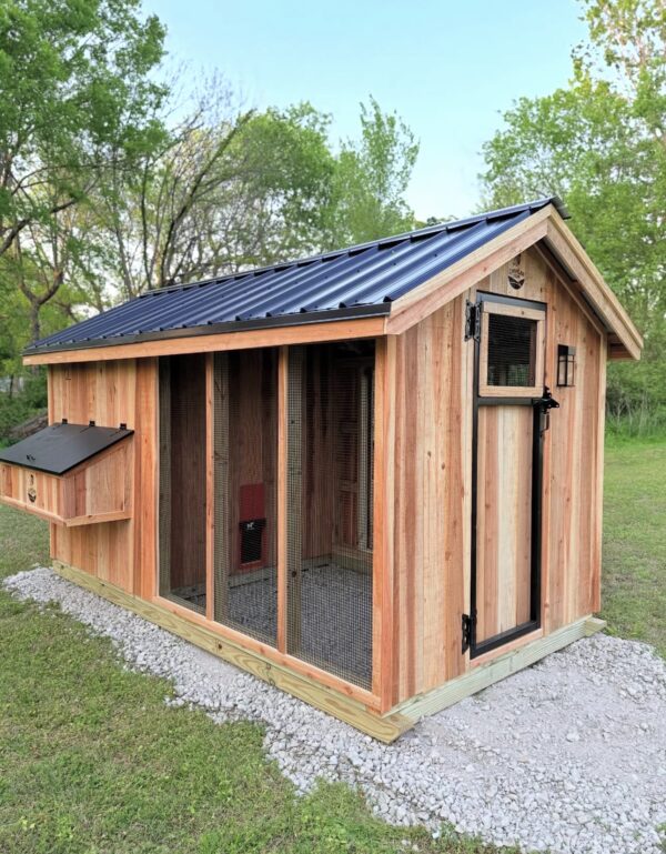 Chicken coop