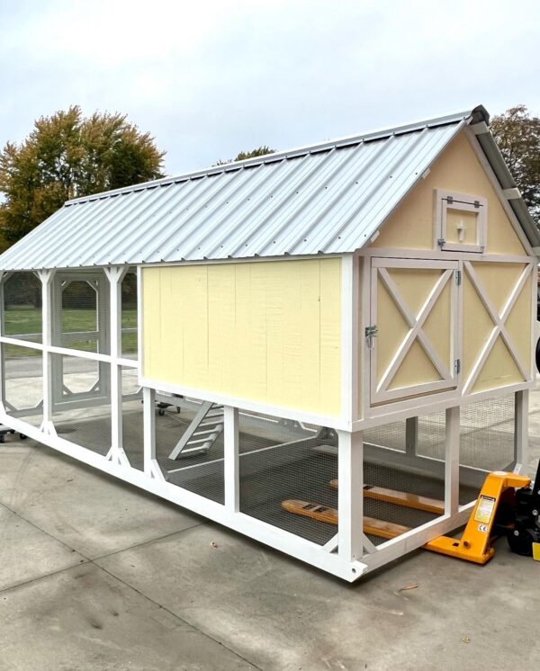 Chicken Coop