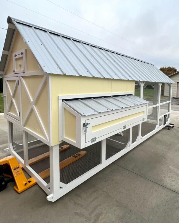 Chicken Coop