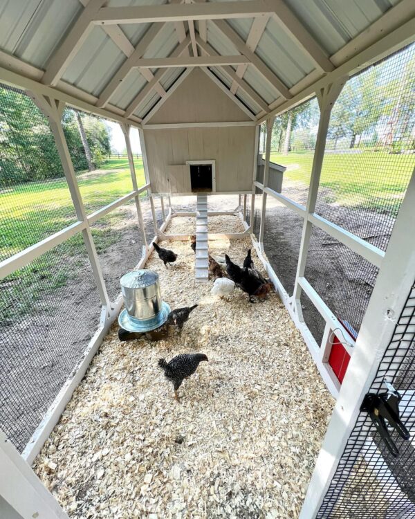 Chicken coop