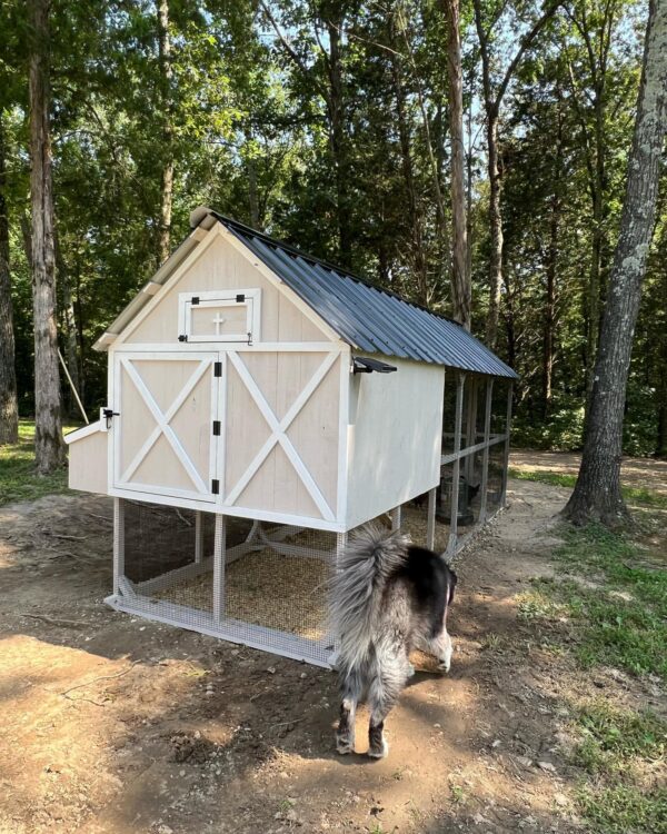 Chicken coop