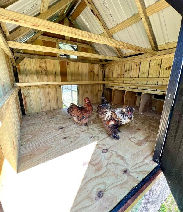 Chicken Coop