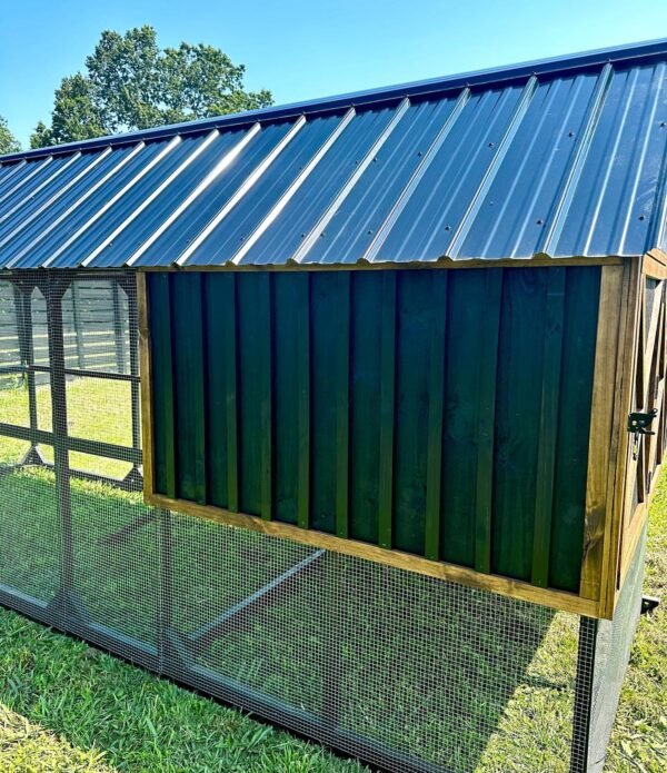 Chicken Coop